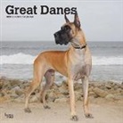 BrownTrout Publisher, Inc Browntrout Publishers, Browntrout Publishing (COR) - Great Danes 2020 Calendar