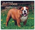 BrownTrout Publisher, Inc Browntrout Publishers, Browntrout Publishing (COR) - For the Love of Bulldogs 2020 Calendar