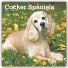 BrownTrout Publisher, Inc Browntrout Publishers, Browntrout Publishing (COR) - Cocker Spaniels 2020 Square Calendar