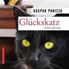 Kaspar Panizza, Thomas Birnstiel - Glückskatz, 1 Audio-CD (Audio book)