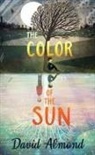 David Almond - The Color of the Sun