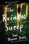 Tim Wynne-Jones - The Ruinous Sweep