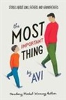 Avi - The Most Important Thing