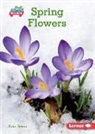 Katie Peters - Spring Flowers