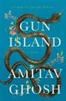 Amitav Ghosh - Gun Island