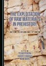 Xavier Terradas Batlle, Telmo Pereira - The Exploitation of Raw Materials in Prehistory: Sourcing, Processing and Distribution
