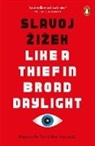 Slavoj Zizek, Slavoj Žižek - Like A Thief In Broad Daylight