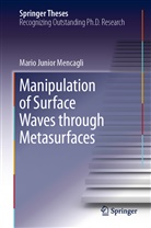 Mario Junior Mencagli, Mario Junior Mencagli - Manipulation of Surface Waves through Metasurfaces