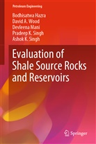 Bodhisatw Hazra, Bodhisatwa Hazra, Devleena Mani, Devleena et Mani, Ashok K. Singh, Pradeep K Singh... - Evaluation of Shale Source Rocks and Reservoirs