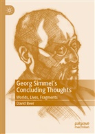 David Beer - Georg Simmel's Concluding Thoughts