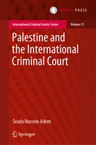 Seada Hussein Adem, Seada Hussein Adem - Palestine and the International Criminal Court