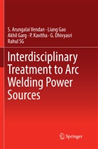 G. Dhivyasri, Lian Gao, Liang Gao, Akhil Garg, Akhil et al Garg, P. Kavitha... - Interdisciplinary Treatment to Arc Welding Power Sources