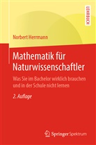 Norbert Herrmann - Mathematik für Naturwissenschaftler