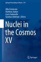 Alba Formicola, Lucio Gialanella, Lucio Gialanella et al, Gianluca Imbriani, Matthia Junker, Matthias Junker - Nuclei in the Cosmos XV