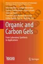 An Arenillas, Ana Arenillas, Esther Bail n-Garcia, Esther Bail_n-Garcia, Esther Bail¿n-Garcia, Esther Bailόn-Garcia... - Organic and Carbon Gels