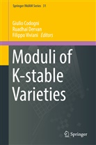 Giulio Codogni, Ruadha Dervan, Ruadhaí Dervan, Filippo Viviani - Moduli of K-stable Varieties