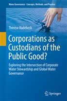 Thérèse Rudebeck - Corporations as Custodians of the Public Good?