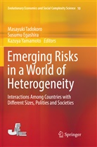 Susum Egashira, Susumu Egashira, Masayuki Tadokoro, Kazuya Yamamoto - Emerging Risks in a World of Heterogeneity
