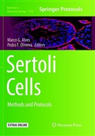 Marco G. Alves, F Oliveira, F Oliveira, Marc G Alves, Marco G Alves, Pedro F. Oliveira - Sertoli Cells