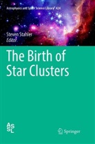 Steve Stahler, Steven Stahler - The Birth of Star Clusters