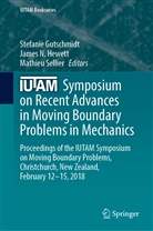 Stefanie Gutschmidt, James N. Hewett, Jame N Hewett, James N Hewett, Mathieu Sellier - IUTAM Symposium on Recent Advances in Moving Boundary Problems in Mechanics