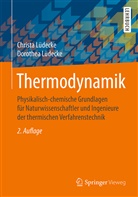 Christ Lüdecke, Christa Lüdecke, Dorothea Lüdecke - Thermodynamik
