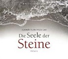 Peggy Langhans, Georg Lehmacher, Alexandra Marisa Wilcke - Die Seele der Steine, 4 Audio-CDs (Audio book)