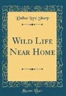 Dallas Lore Sharp - Wild Life Near Home (Classic Reprint)