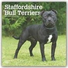 BrownTrout Publisher, Inc Browntrout Publishers, BrownTrout Publishers Inc, Browntrout Publishing (COR) - Staffordshire Bull Terriers 2020 Calendar