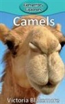 Victoria Blakemore - Camels