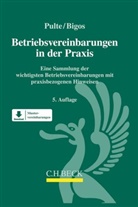 Bianca Bigos, Peter Pulte, Peter (Prof. Dr. Pulte, Peter (Prof. Dr.) Pulte - Betriebsvereinbarungen in der Praxis