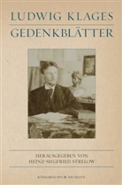 Heinz-Siegfried Strelow - Ludwig Klages. Erinnerungen