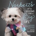 Virginia Freyermuth, Julie Steines, Julie Steines, Julie/ Freyermuth Steines, Virginia Freyermuth - Norbert's Little Lessons for a Big Life 2020 Calendar
