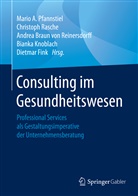 Andrea Braun von Reinersdorff, Andr Braun von Reinersdorff u a, Dietmar Fink, Bianka Knoblach, Mario A. Pfannstiel, Christop Rasche... - Consulting im Gesundheitswesen