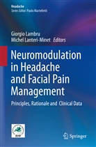 Giorgi Lambru, Giorgio Lambru, Lanteri-Minet, Lanteri-Minet, Michel Lanteri-Minet - Neuromodulation in Headache and Facial Pain Management