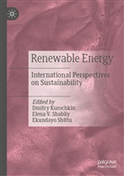 Dmitry Kurochkin, Elena Shabliy, Elena V. Shabliy, Ekundayo Shittu, Elen V Shabliy, Elena V Shabliy - Renewable Energy