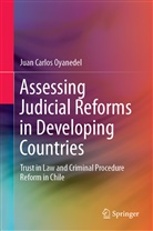 Juan Carlos Oyanedel - Assessing Judicial Reforms in Developing Countries