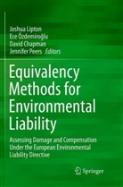 David Chapman, David Chapman et al, Joshua Lipton, Ozdemiro&amp;, Ece Özdemiro¿lu, Ec Özdemiroglu... - Equivalency Methods for Environmental Liability
