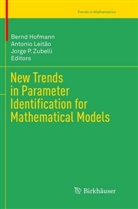 Bernd Hofmann, Antoni Leitão, Antonio Leitão, Jorge P Zubelli, Jorge P. Zubelli - New Trends in Parameter Identification for Mathematical Models