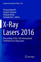 Sergei V. Bulanov, Hiroyuki Daido, Hiroyuki Daido et al, Yoshiaki Kato, Tetsuya Kawachi, Serge V Bulanov... - X-Ray Lasers 2016