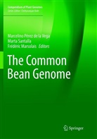 Frédéric Marsolais, Marcelino Pérez de la Vega, Mart Santalla, Marta Santalla - The Common Bean Genome