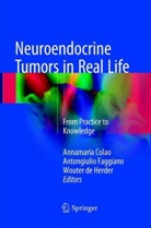 Annamaria Colao, Wouter de Herder, Antongiuli Faggiano, Antongiulio Faggiano - Neuroendocrine Tumors in Real Life