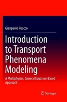 Gianpaolo Ruocco - Introduction to Transport Phenomena Modeling