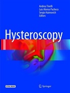 Lui Alonso Pacheco, Luis Alonso Pacheco, Sergio Haimovich, Andrea Tinelli - Hysteroscopy
