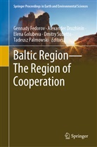 Alexande Druzhinin, Alexander Druzhinin, Gennady Fedorov, Elena Golubeva, Elena Golubeva et al, Tadeusz Palmowski... - Baltic Region-The Region of Cooperation