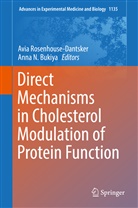Anna N. Bukiya, N Bukiya, N Bukiya, Avi Rosenhouse-Dantsker, Avia Rosenhouse-Dantsker - Direct Mechanisms in Cholesterol Modulation of Protein Function