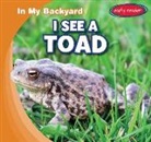 E. T. Weingarten - I See a Toad