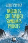 Albert Espinosa - Brúixoles que busquen somriures perduts