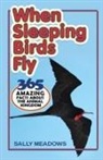 Sally Meadows, Sally Meadows - When Sleeping Birds Fly