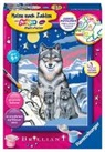 Süße Wolfsfamilie - Mal-Set